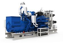 Газовый генератор POWERLINK CG270NG в Оренбурге Газовый генератор POWERLINK CG270NG в Оренбурге